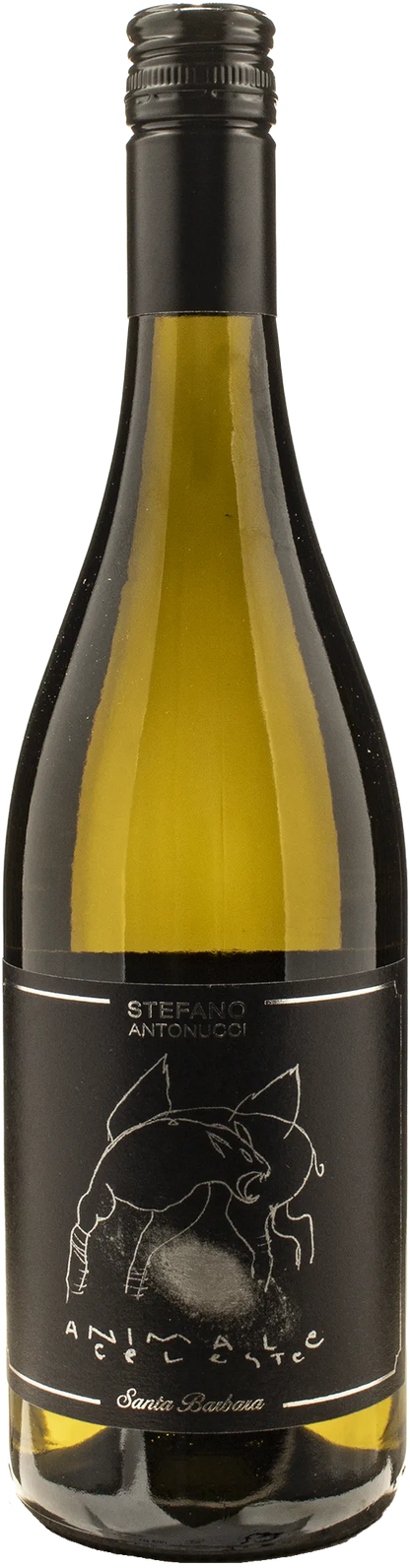 Santa Barbara Animale Celeste Sauvignon 2025