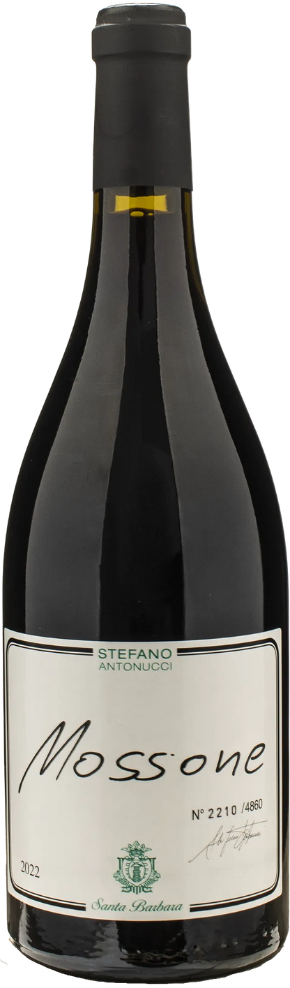 Santa Barbara Stefano Antonucci Mossone Merlot 2022