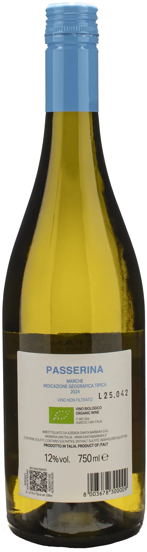 Santa Barbara Stefano Antonucci Passerina 2024