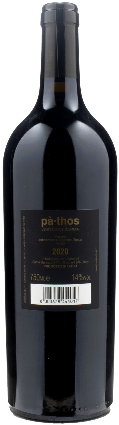 Santa Barbara Stefano Antonucci Pathos 2020
