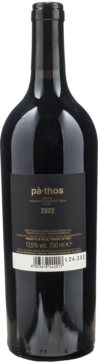 Santa Barbara Stefano Antonucci Pathos 2022