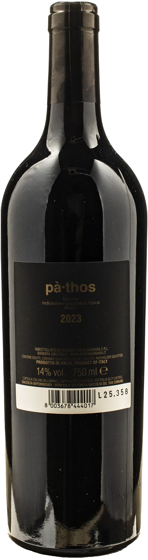 Santa Barbara Stefano Antonucci Pathos 2023