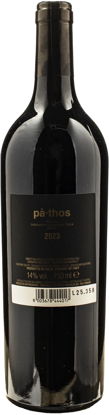Santa Barbara Stefano Antonucci Pathos 2023