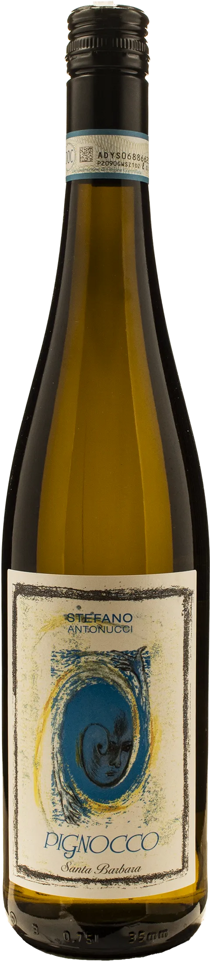 Santa Barbara Stefano Antonucci Verdicchio Castelli di Jesi Pignocco 2025