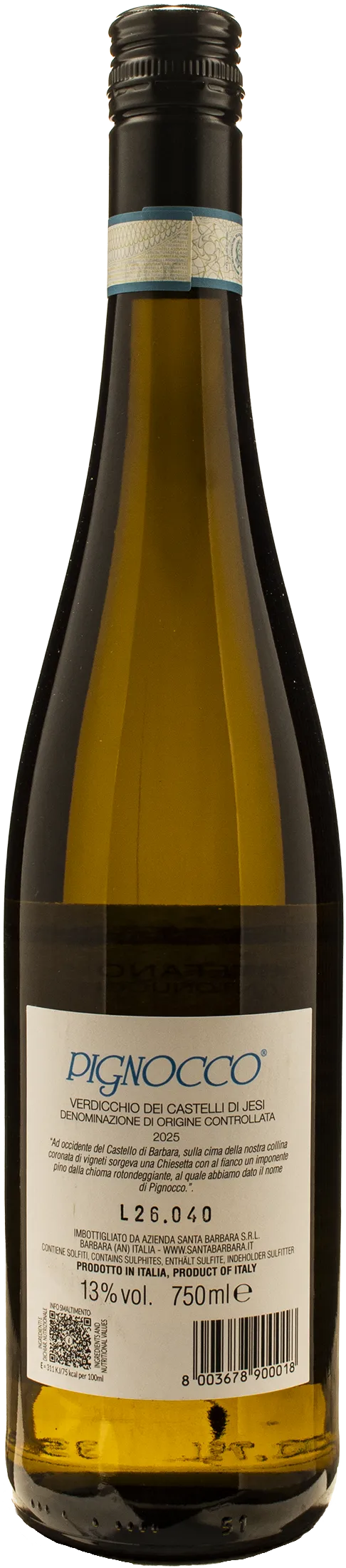 Santa Barbara Stefano Antonucci Verdicchio Castelli di Jesi Pignocco 2025