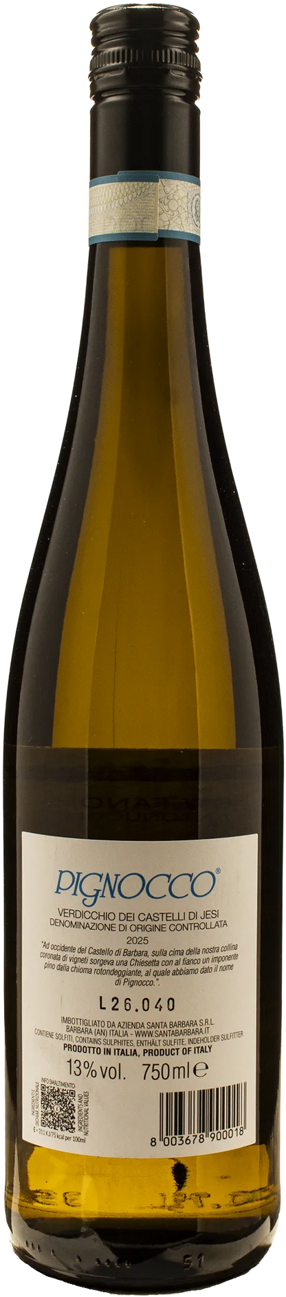 Santa Barbara Stefano Antonucci Verdicchio Castelli di Jesi Pignocco 2025