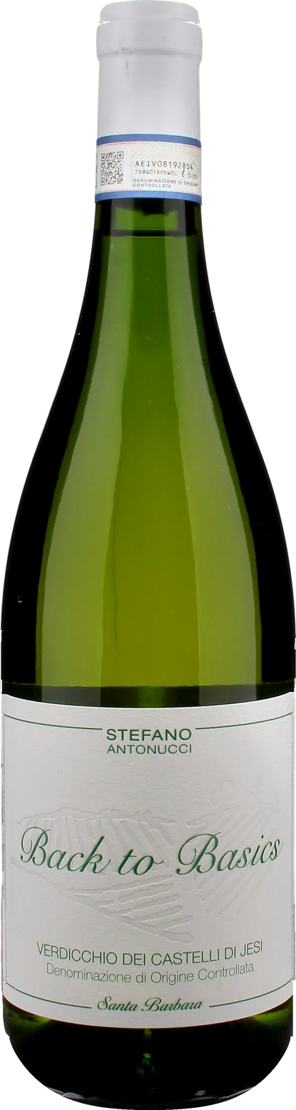 Santa Barbara Verdicchio Castelli di Jesi Back to Basics 2025