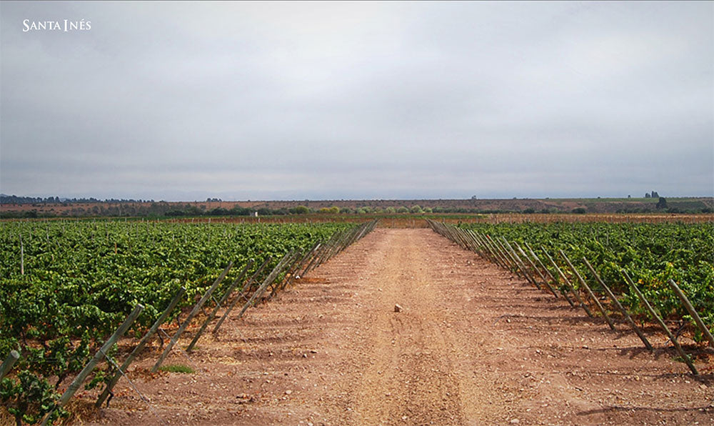 Santa Ines