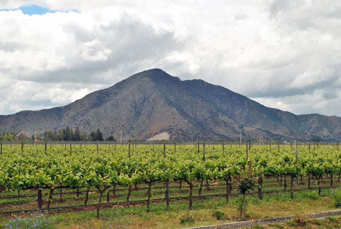 Santa Ines