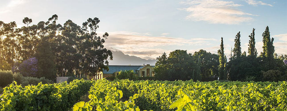 Saronsberg Cellar