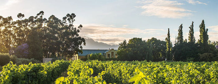 Saronsberg Cellar