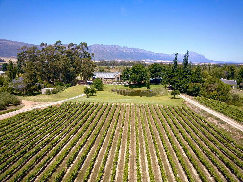 Saronsberg Cellar