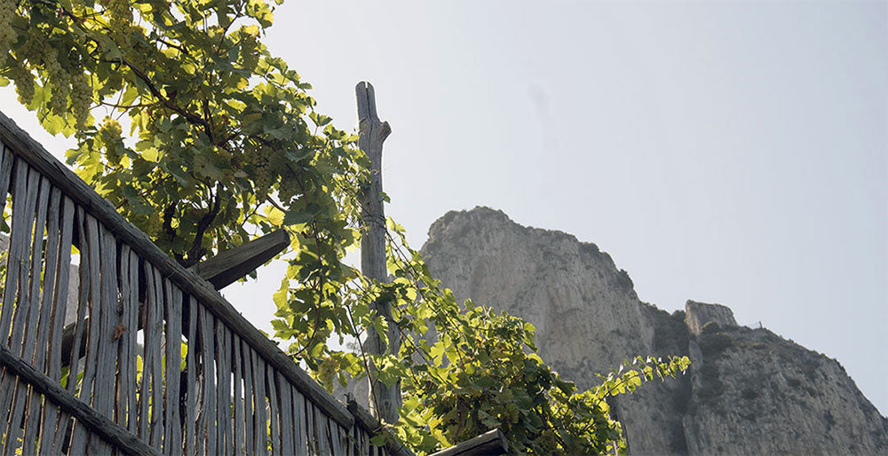Scala Fenicia