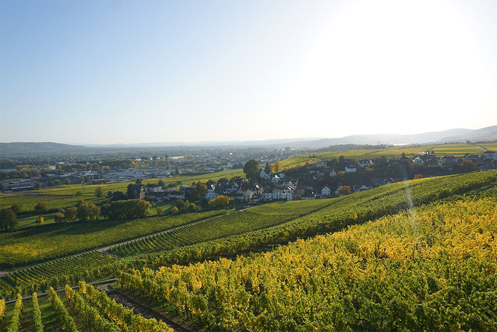 Schloss Johannisberg