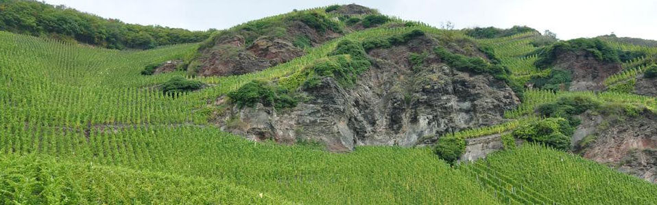 Schwaab-Kiebel