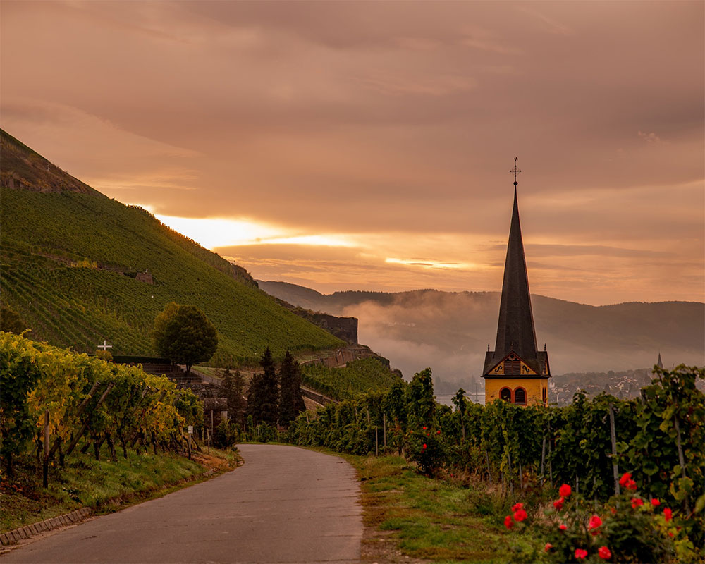 Selbach-Oster