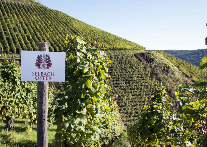 Selbach-Oster