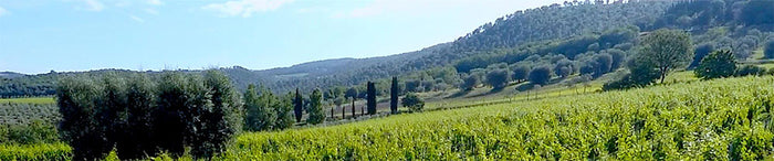 Soldera