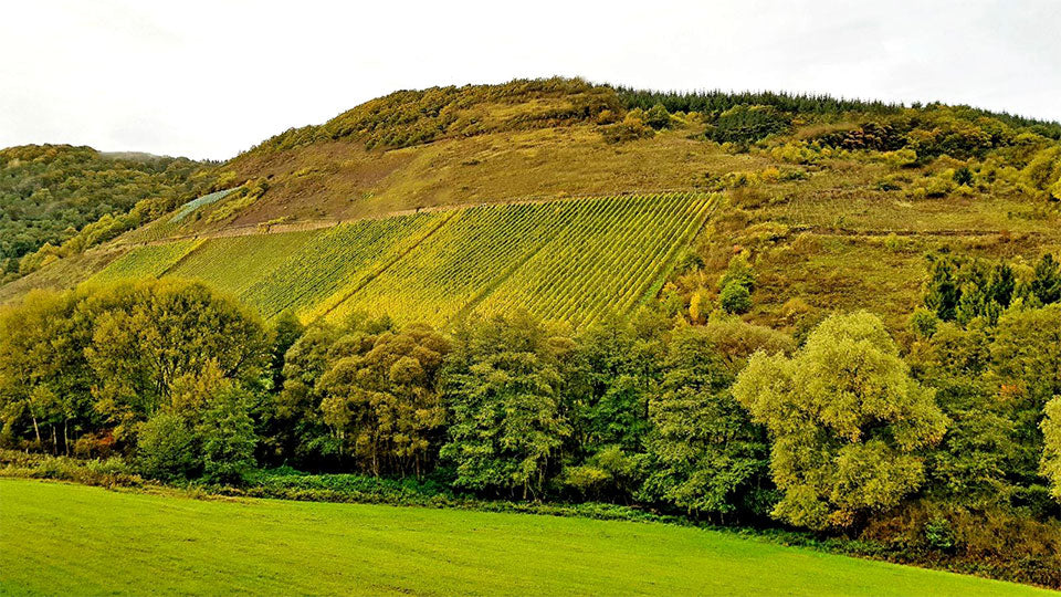 Sorentberg