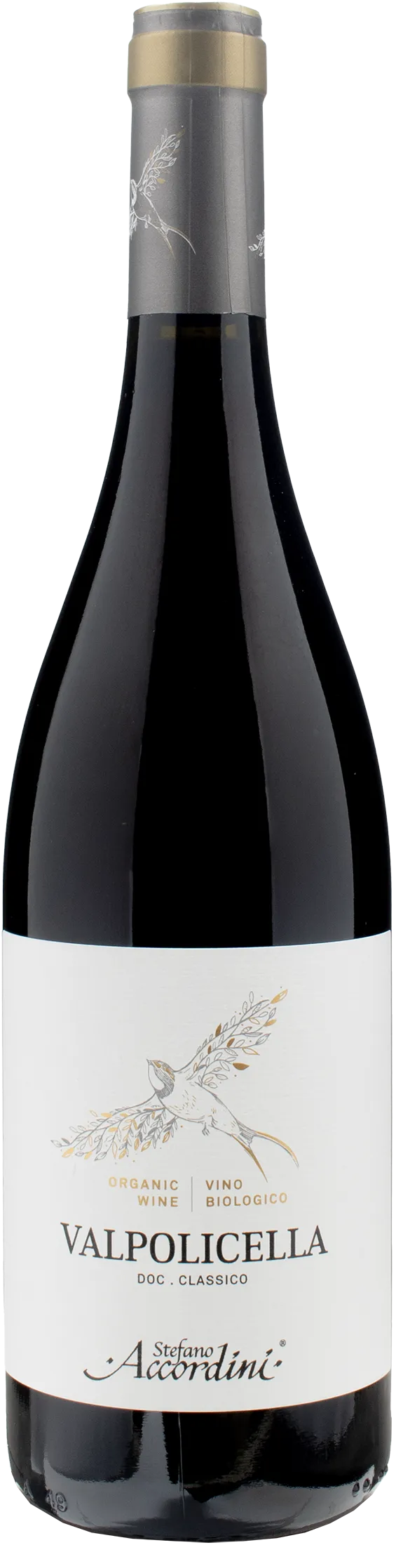 Stefano Accordini Valpolicella Classico 2022