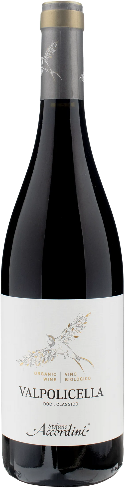 Stefano Accordini Valpolicella Classico 2022