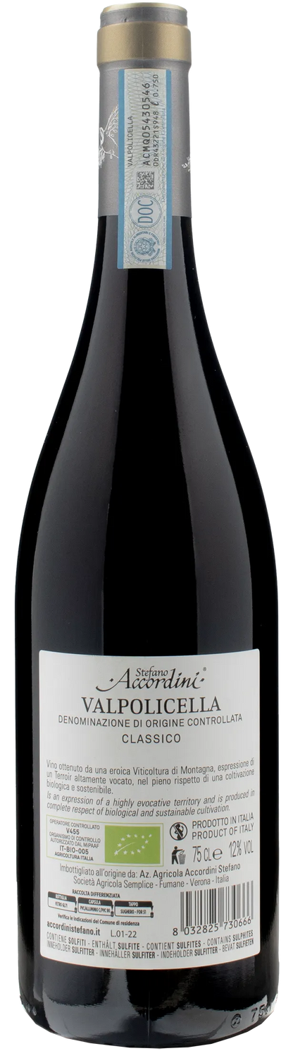 Stefano Accordini Valpolicella Classico 2022
