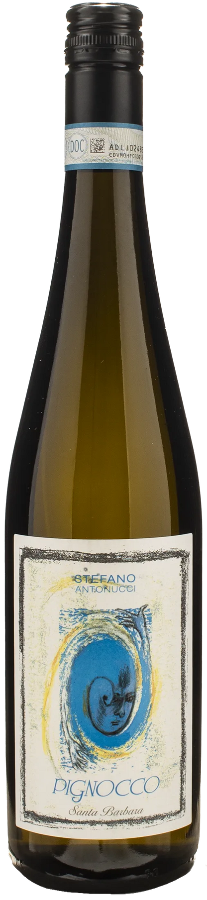 Stefano Antonucci Santa Barbara Verdicchio Castelli di Jesi Pignocco 2024