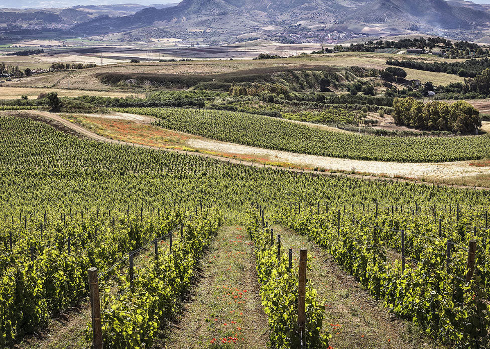 Su'Entu Cantine