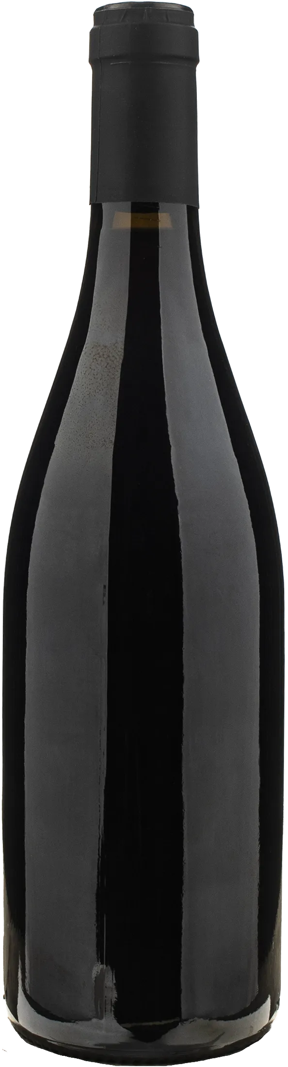 Sylvain Pataille Marsannay Clos Du Roy 2023