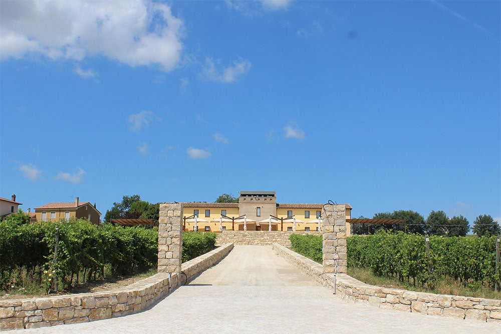 Tabarrini