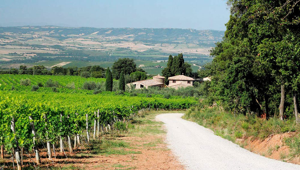 Talenti Azienda Agricola