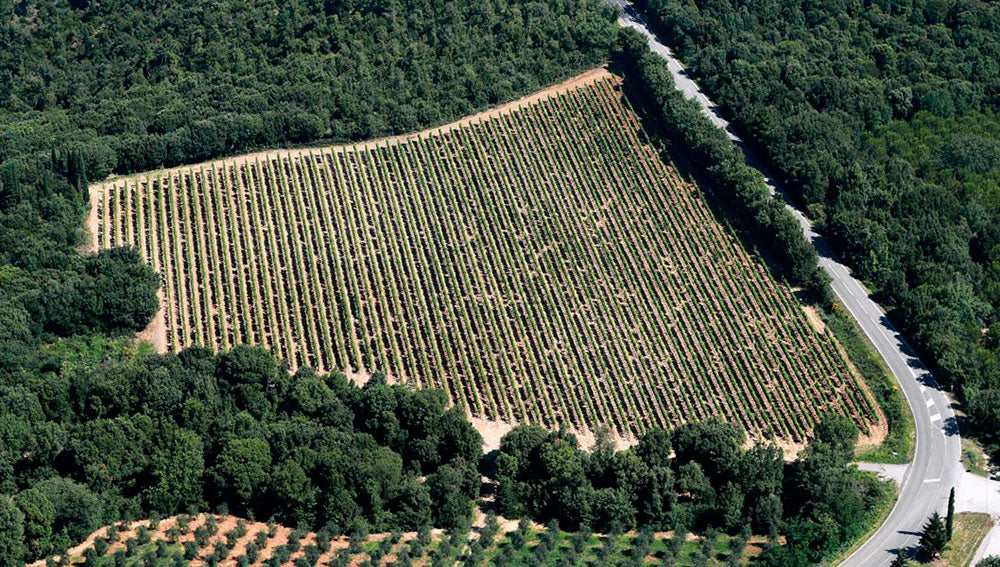 Talenti Azienda Agricola