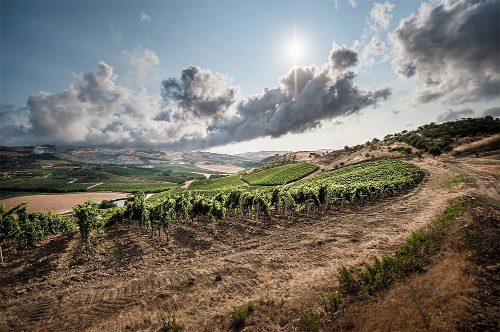 Tasca d'Almerita