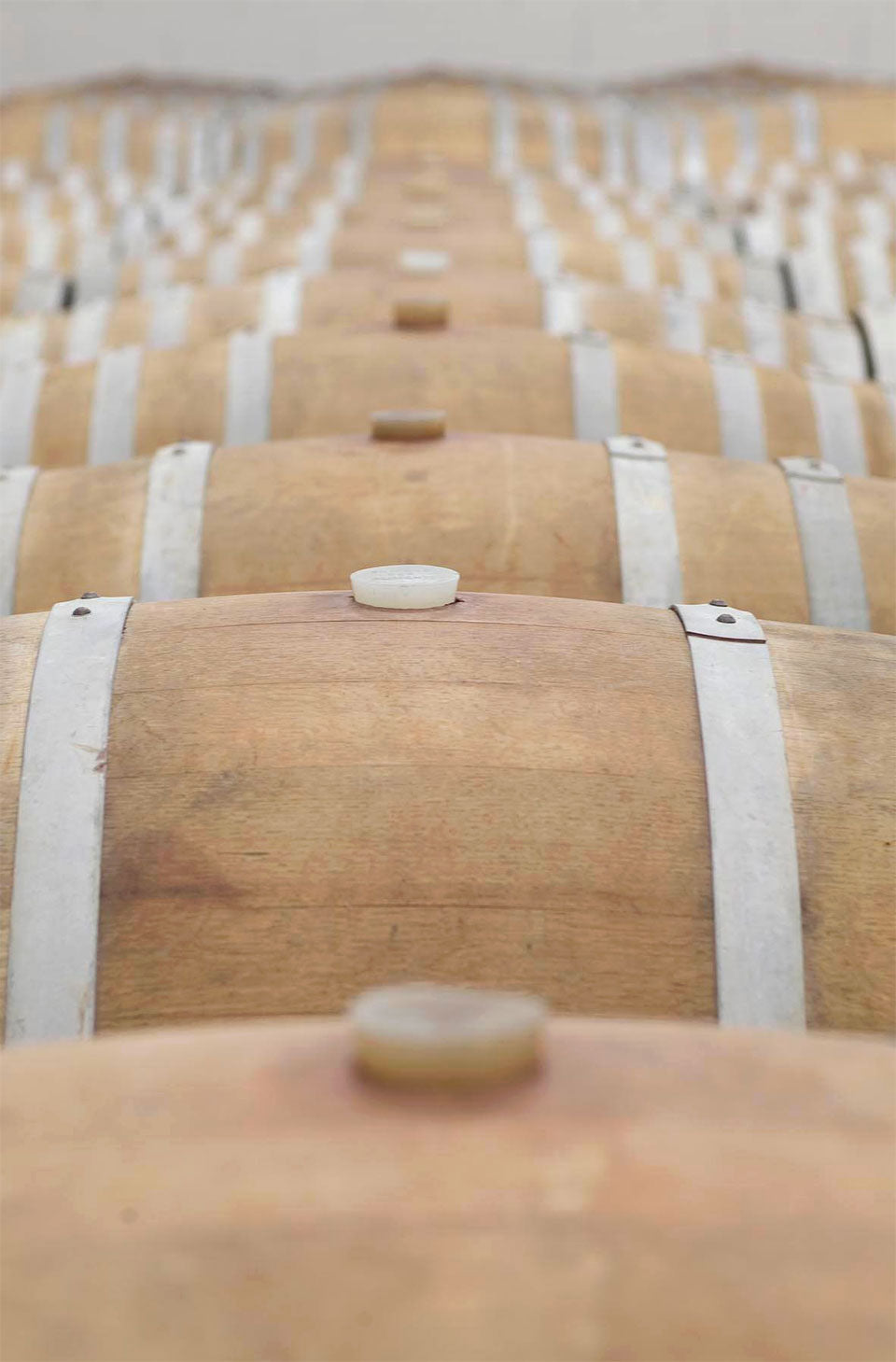 Tenuta Alzatura (Tenute Cecchi)