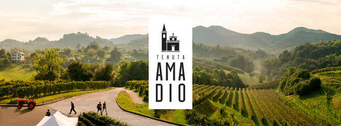 Tenuta Amadio