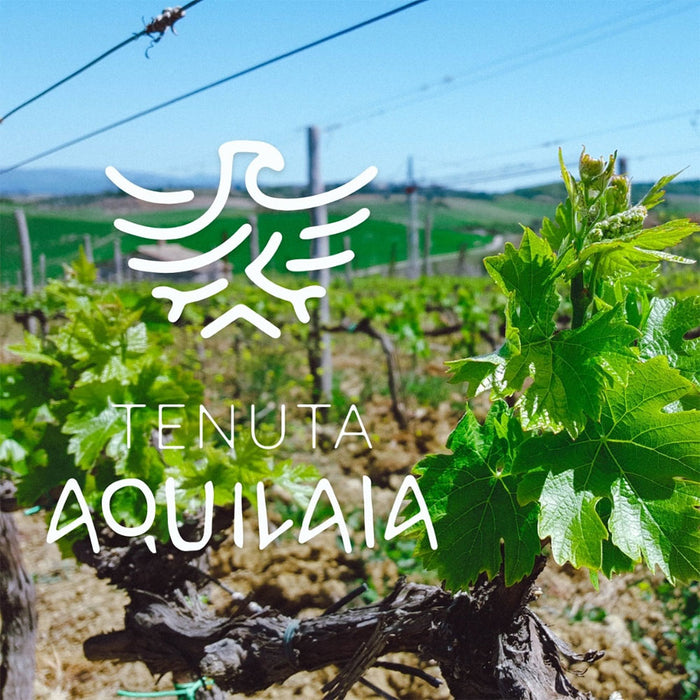 Tenuta Aquilaia (Uggiano)