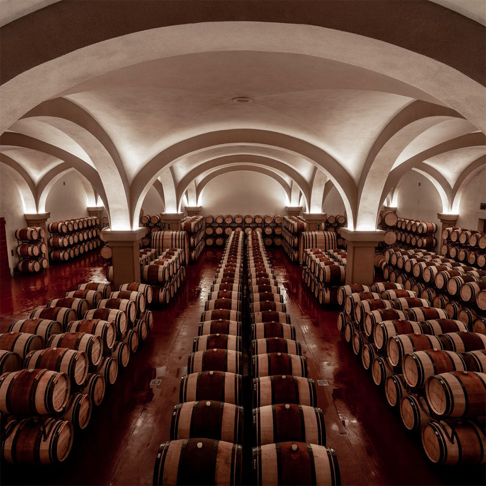 Tenuta Argentiera