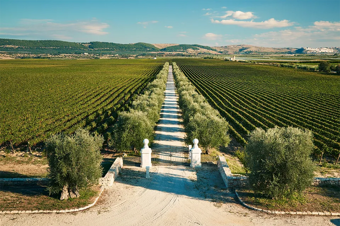 Tenuta Bocca di Lupo