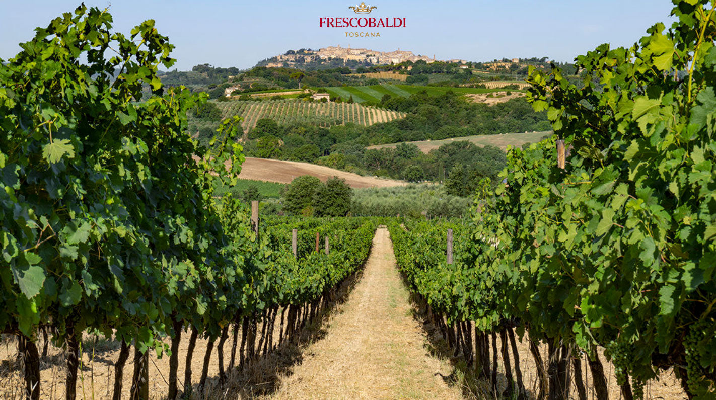 Tenuta Calimaia - Frescobaldi