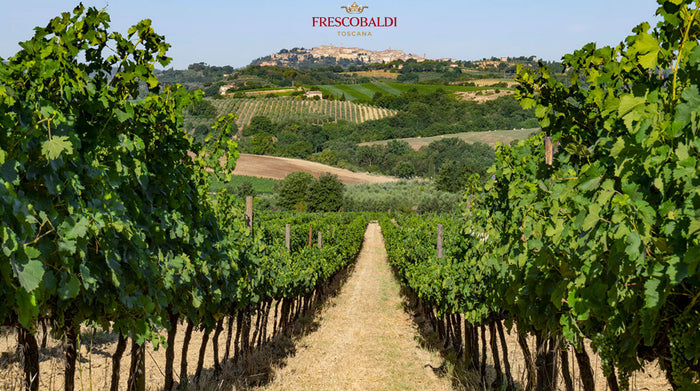 Tenuta Calimaia - Frescobaldi