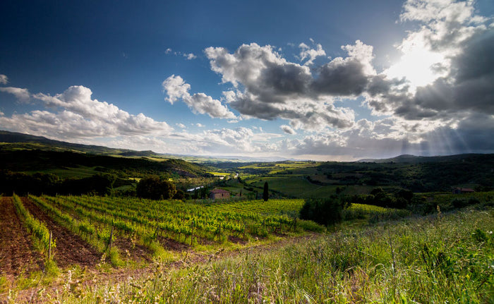 Tenuta del Buon Tempo