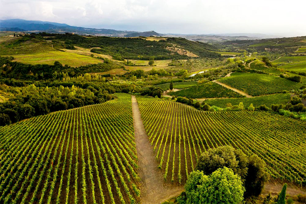 Tenuta del Buon Tempo