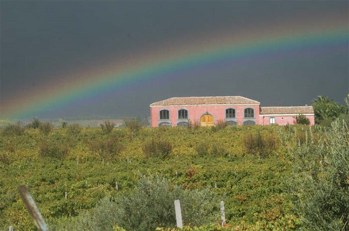 Tenuta delle Terre Nere