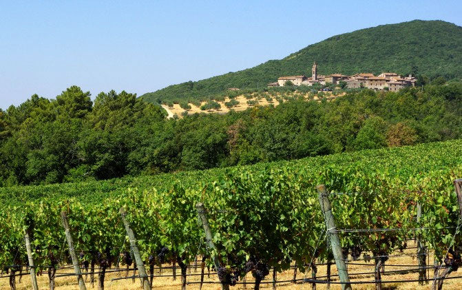 Tenuta di Arceno