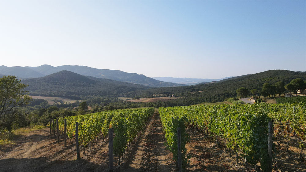 Tenuta di Canneto