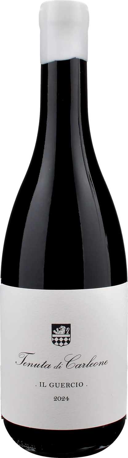 Tenuta di Carleone Il Guercio 2024