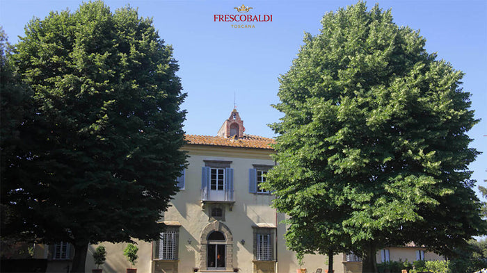 Tenuta di Castiglioni - Frescobaldi
