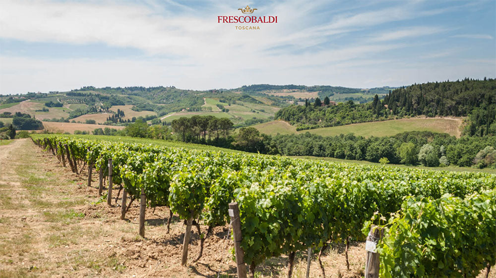 Tenuta di Castiglioni - Frescobaldi