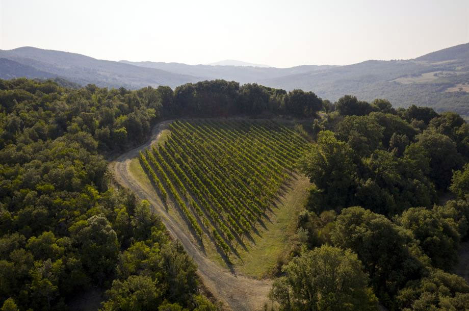 Tenuta di Monterufoli (Tenute del Cerro)