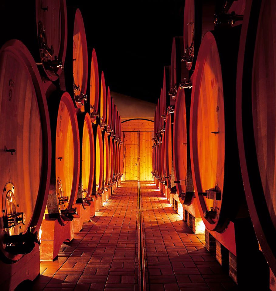 Tenuta di Sesta